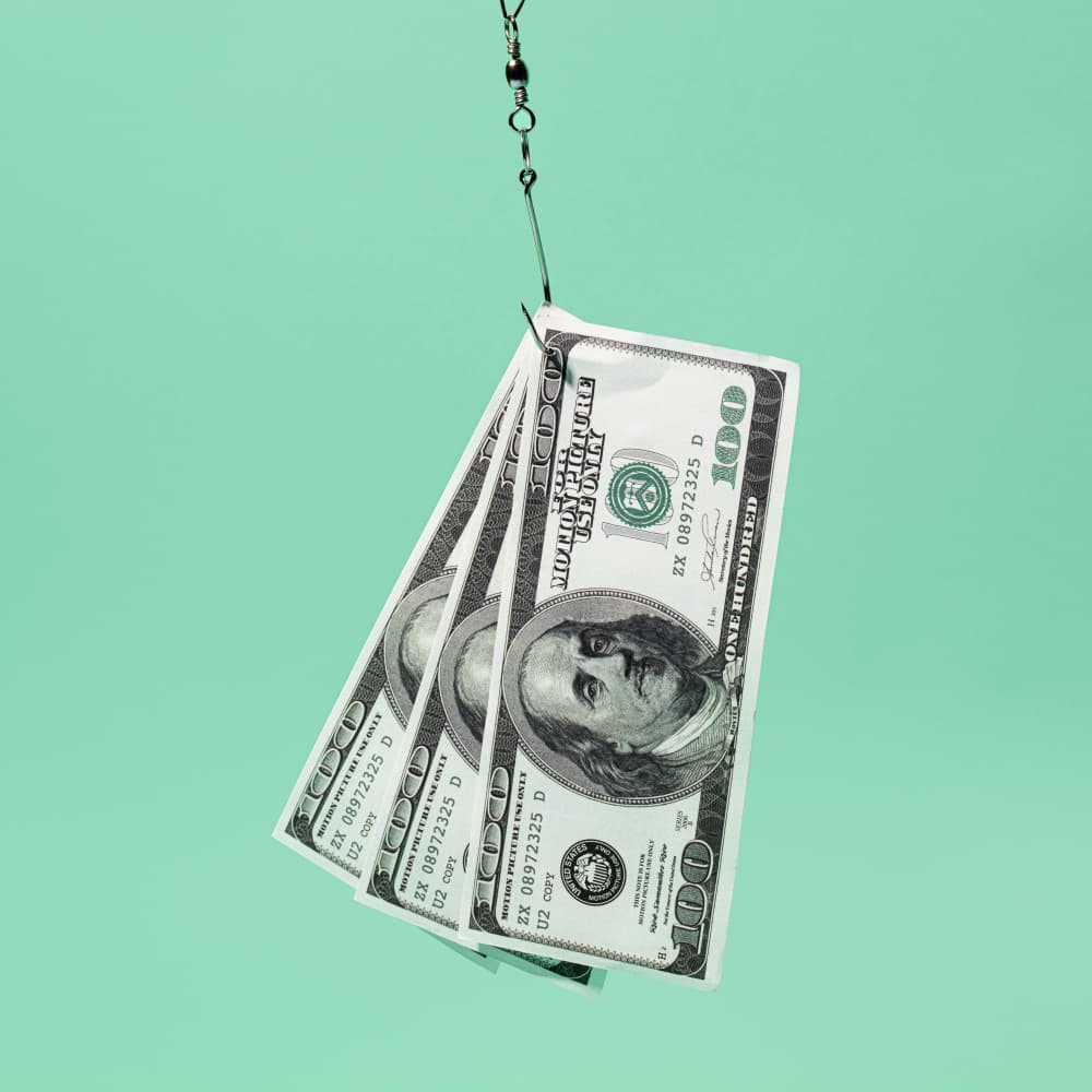 Money on a Fishing Hook by Julia Ramiro — canvas wall art
