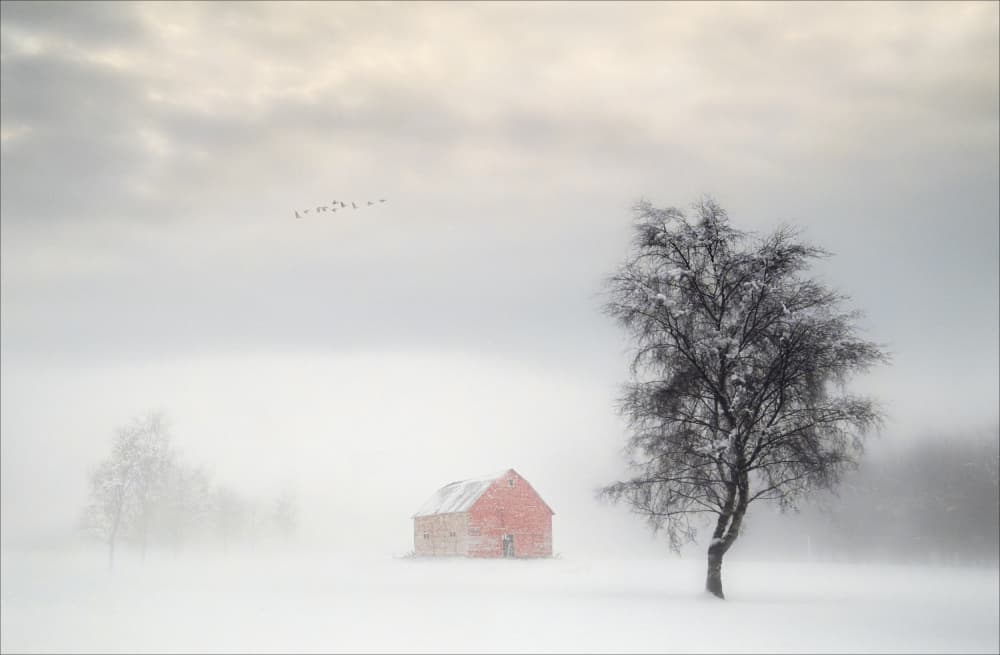 Misty Winter Barn by Peter Paterson — canvas wall art
