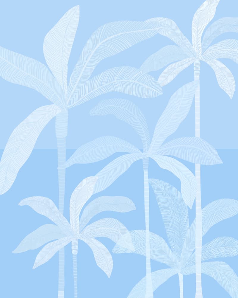 Serene Tropical Palms by Kristian Gallagher — canvas wall art