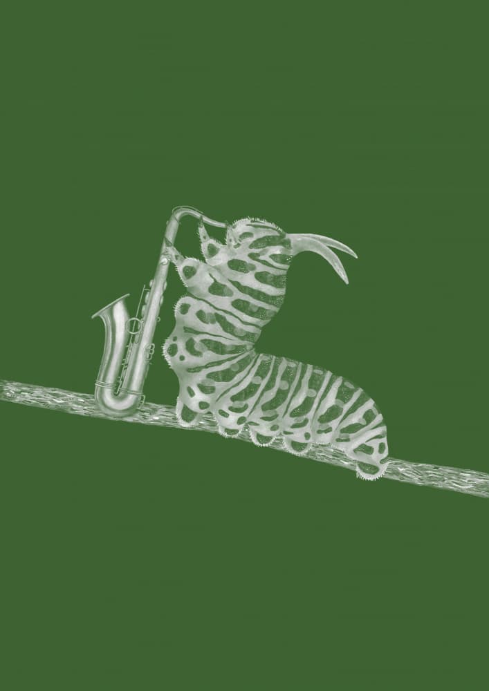 Caterpillar Jazz Session by Martina Scott — canvas wall art