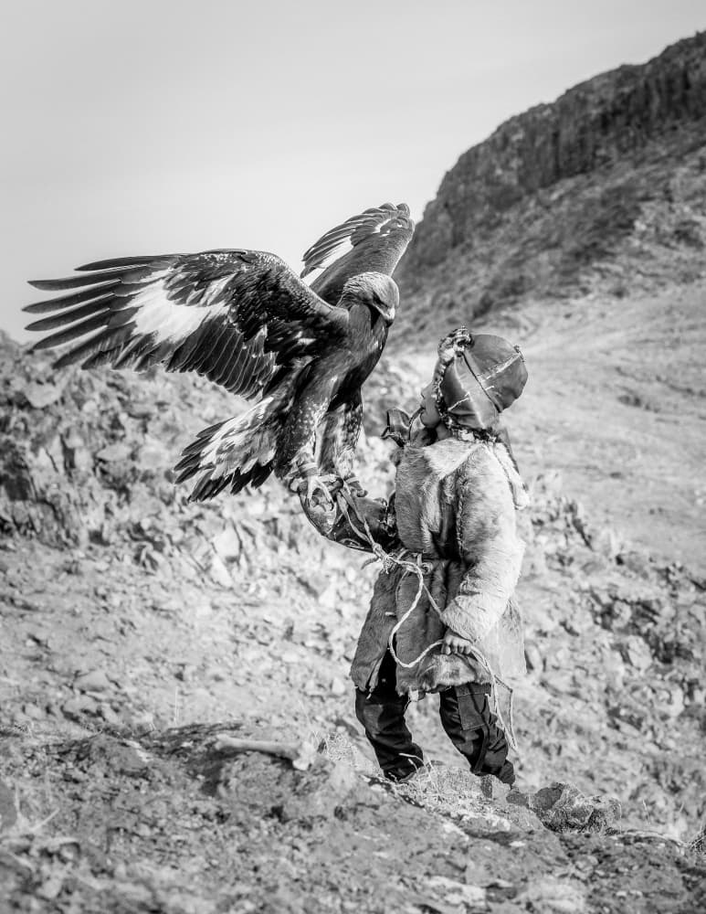 Golden Eagle Hunter by ADIREK M — canvas wall art