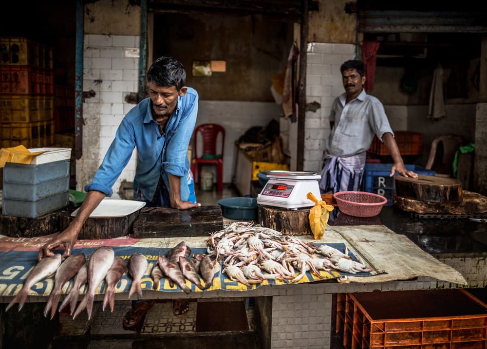 Indian Fish Market by Marco Tagliarino — canvas wall art