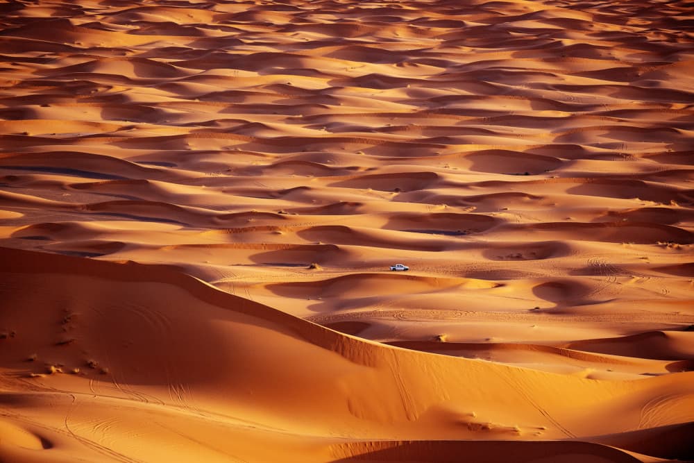 Golden Desert Landscape by Gina Buliga — canvas wall art