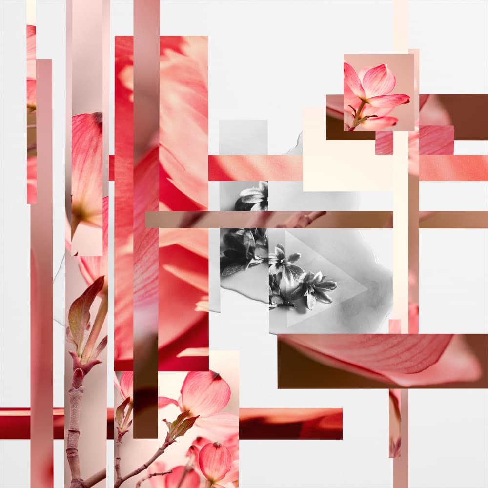 Pink Bloom Collage by Pelin Atilla — canvas wall art