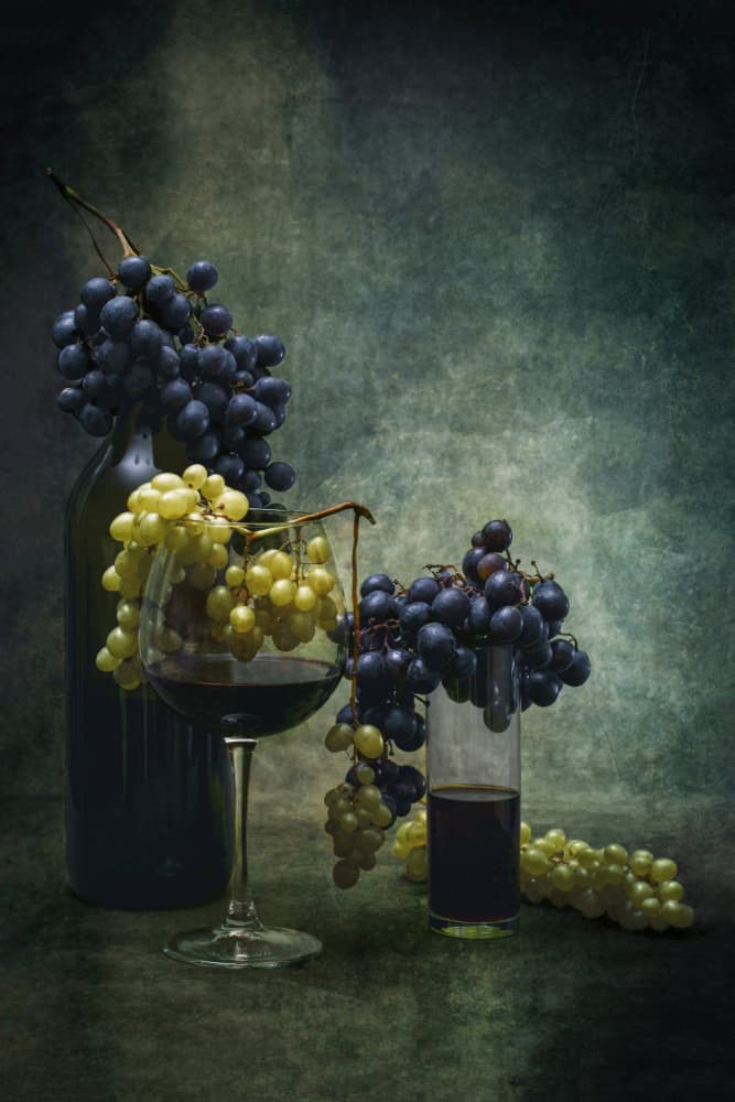 Rich Grapes and Wine by Brig Barkow — canvas wall art