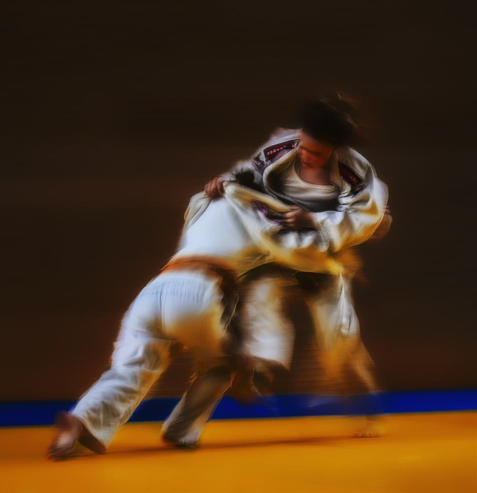 Intense Judo Motion by Dusan Ignac — canvas wall art
