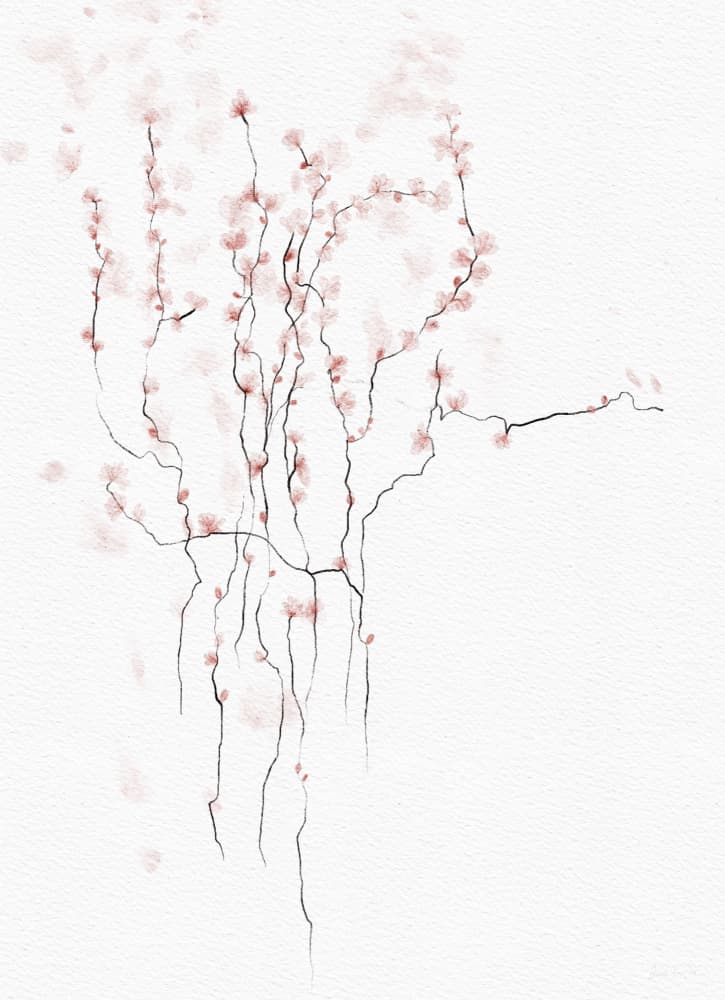 Delicate Pink Blossoms by Ankie Kooi — canvas wall art