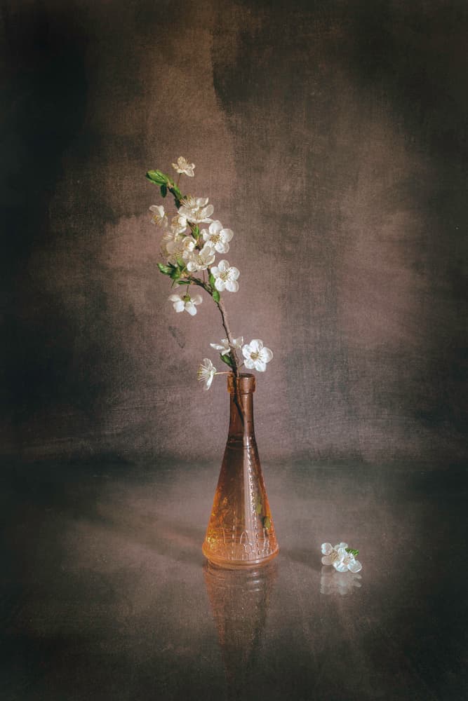 White Cherry Blossom Vase by Cicek Kiral — canvas wall art
