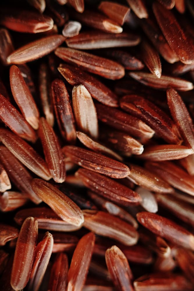 Natural Red Rice by Javier Pardina — canvas wall art