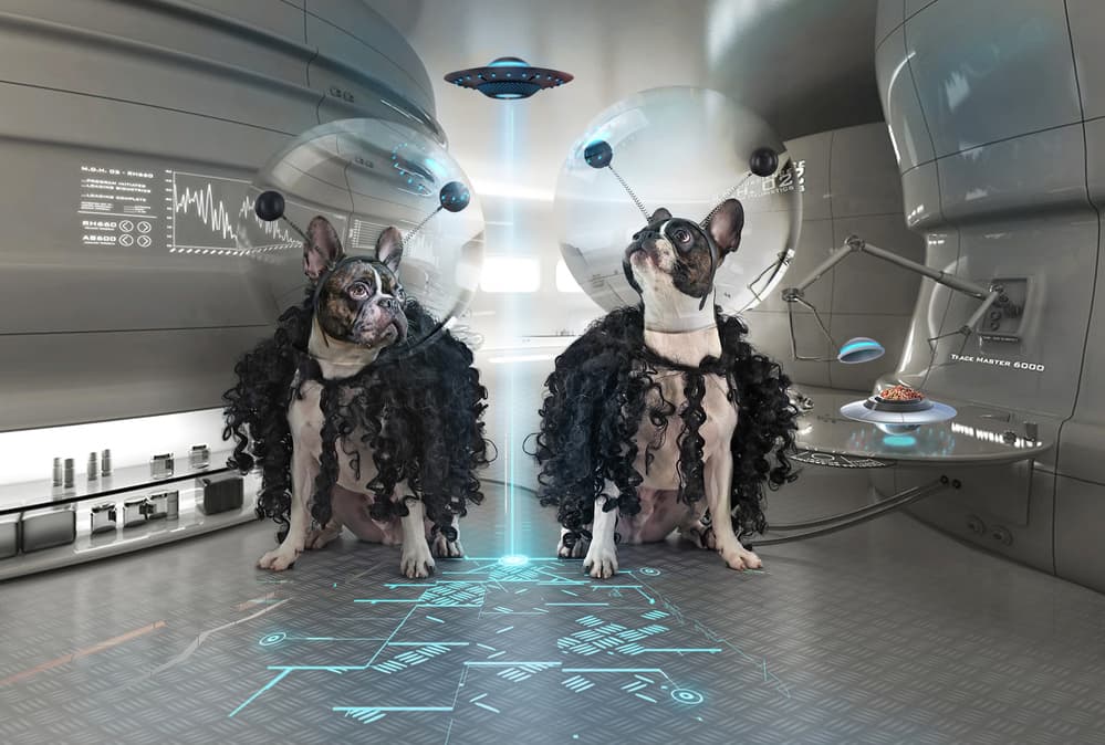 Space Dogs Encounter by DDiArte — canvas wall art