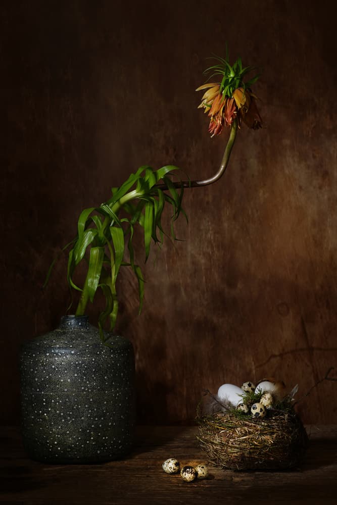Moody Floral Nest by Saskia Dingemans — canvas wall art