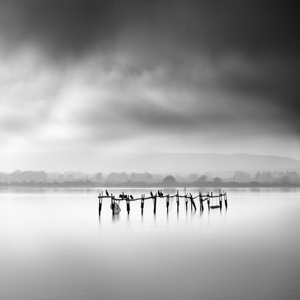 Misty Pier Birds by George Digalakis — canvas wall art