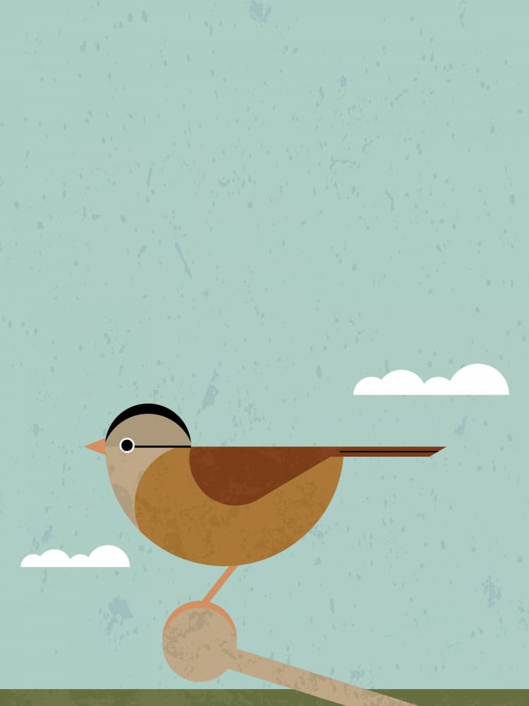 Sweet Perched Bird by The Creating Mind — canvas wall art