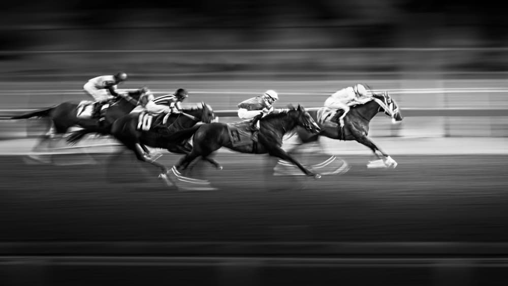 Galloping Racehorses by Steven Zhou — canvas wall art
