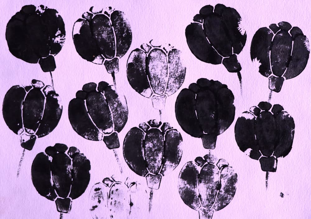 Lavender Poppy Pods by Santhosh ch — canvas wall art