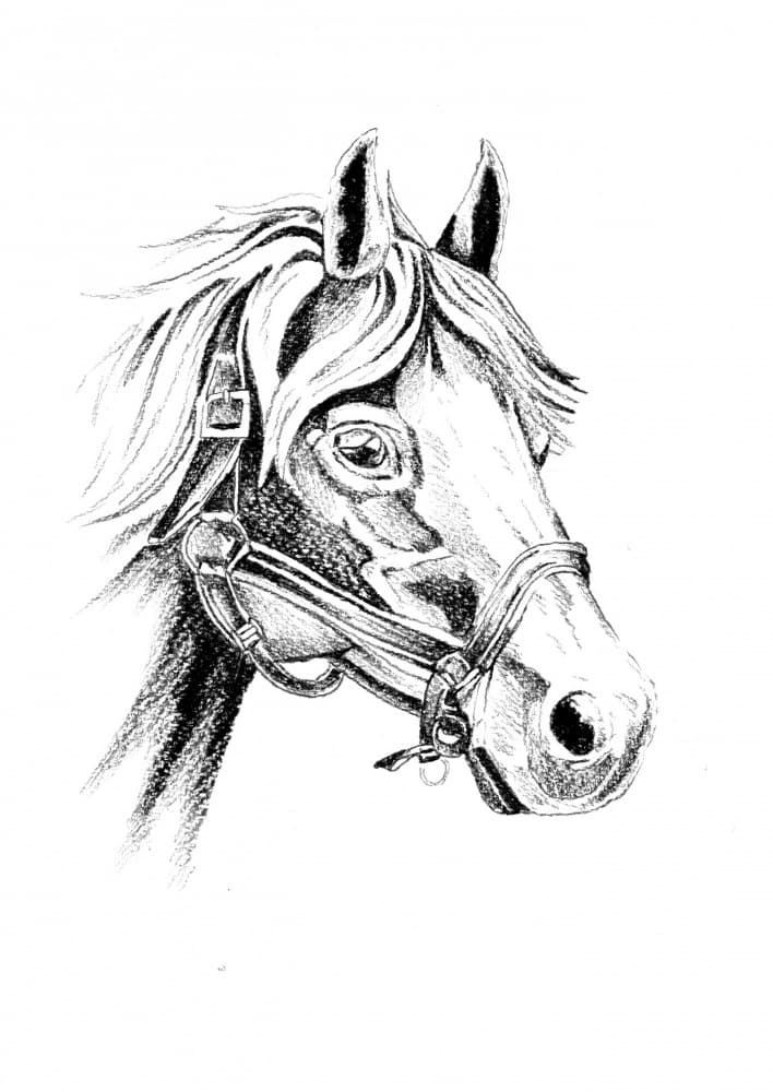 Noble Horse Portrait by Kulik — canvas wall art