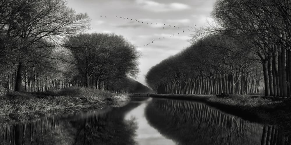 Winter Canal Birds by Yvette Depaepe — canvas wall art