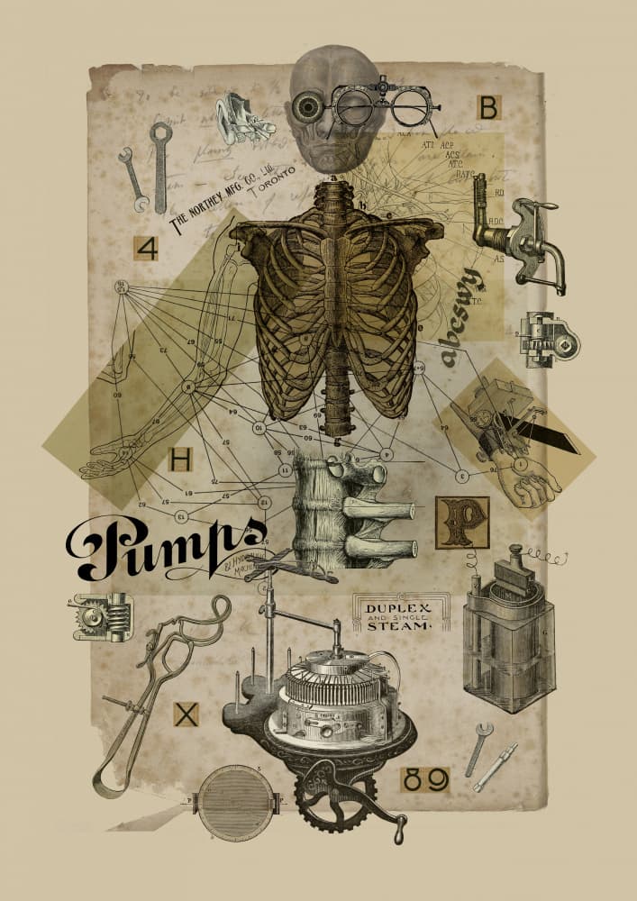Mechanical Skeleton Study by Pawel Pacholec — canvas wall art