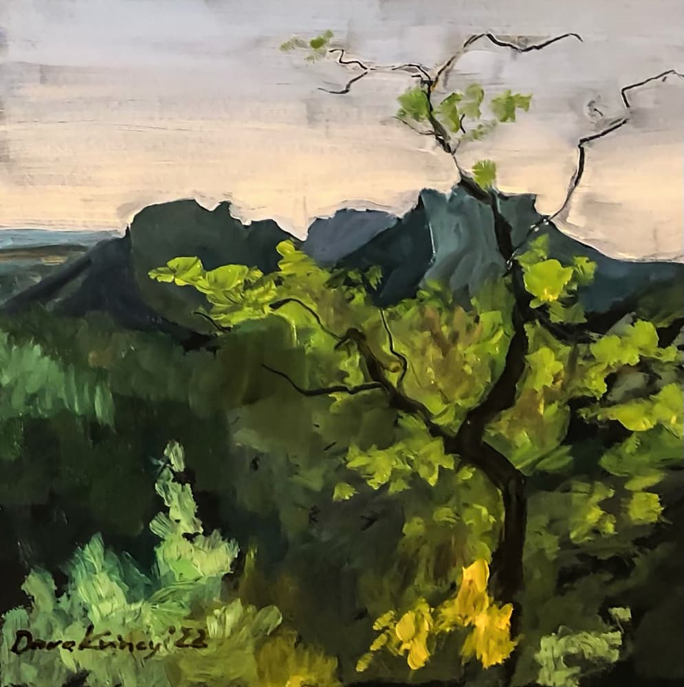 Lush Green Mountain View by Dora Krincy — canvas wall art