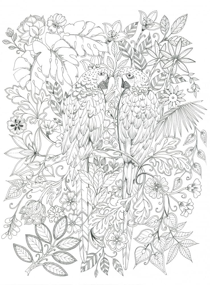 Parrots by Isabelle Brent — canvas wall art