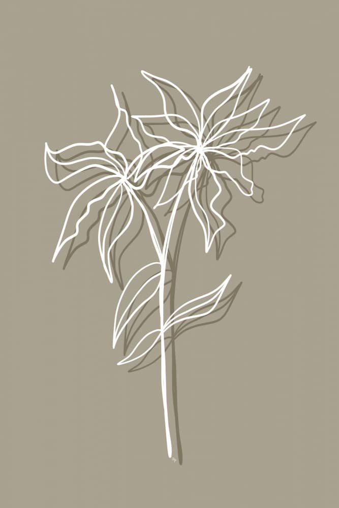 Elegant Floral Lines by Martina — canvas wall art
