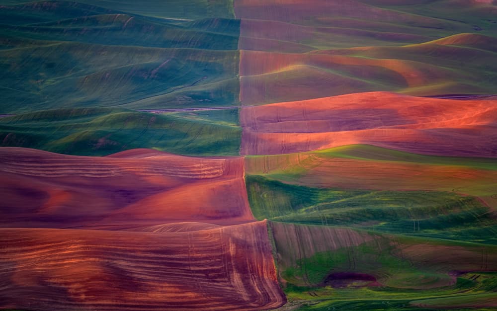 Divided Color Fields by Yuan Su — canvas wall art