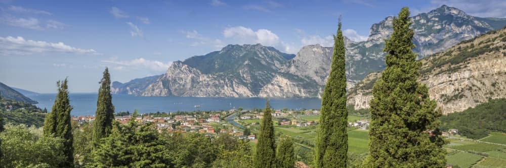 Cypress Trees Lake Garda by Melanie Viola — canvas wall art