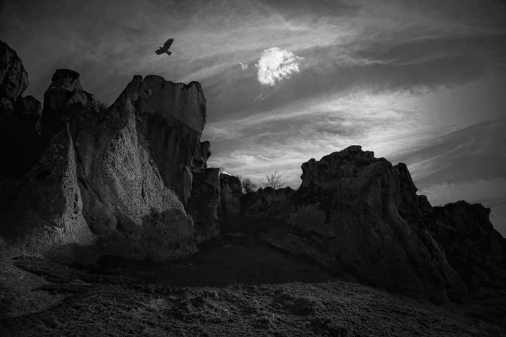 Bird Over Rugged Landscape by Cicek Kiral — canvas wall art