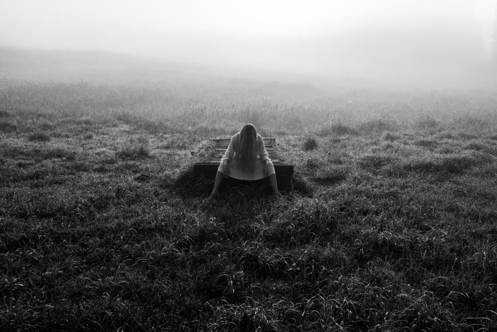 Pensive Morning Mist by Leszek Paradowski — canvas wall art