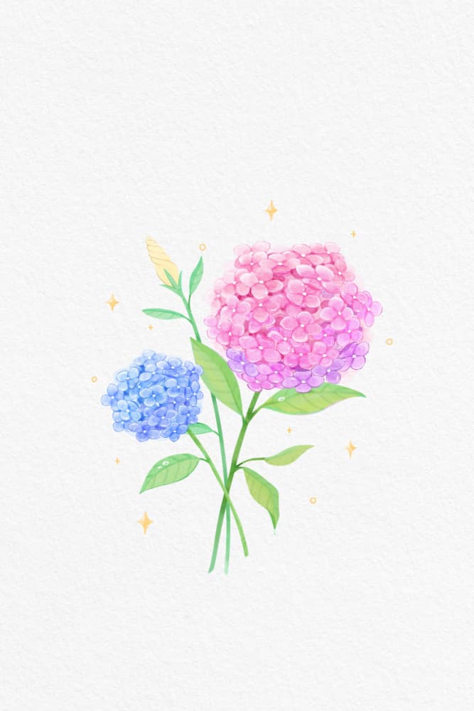Pink And Blue Hydrangeas by Xuan Thai — canvas wall art
