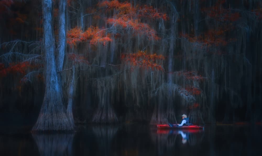 Autumn Cypress Kayak by Catherine Wang — canvas wall art