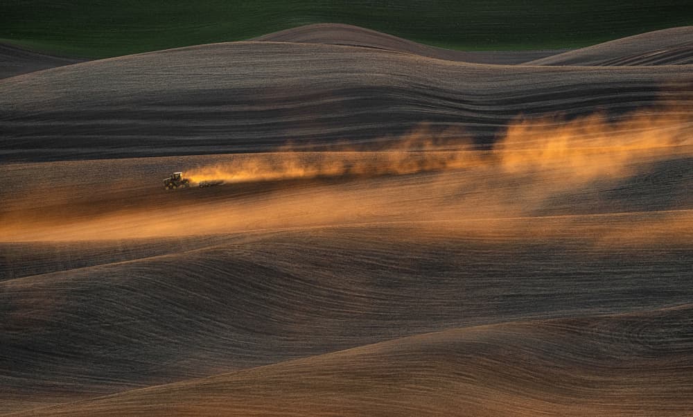 Golden Rolling Hills Tractor by Lydia Jacobs — canvas wall art