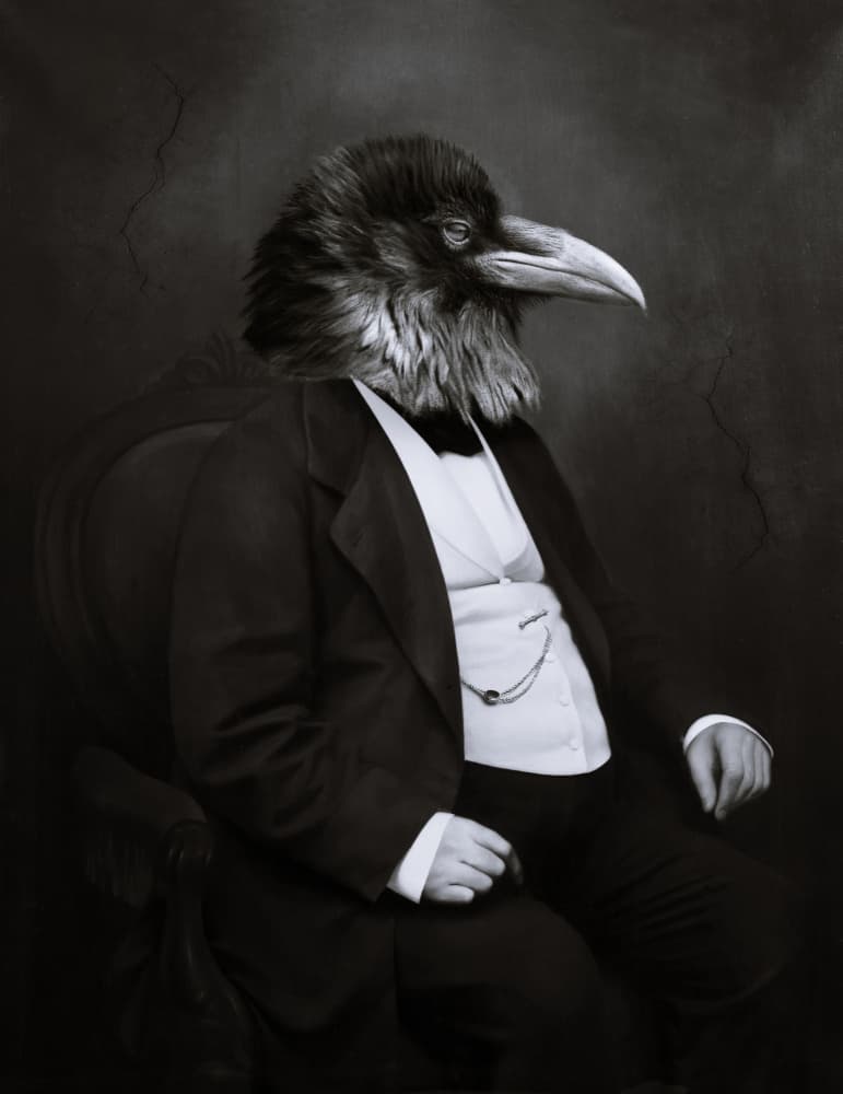The Crow Gentleman by Marja van den Hurk — canvas wall art