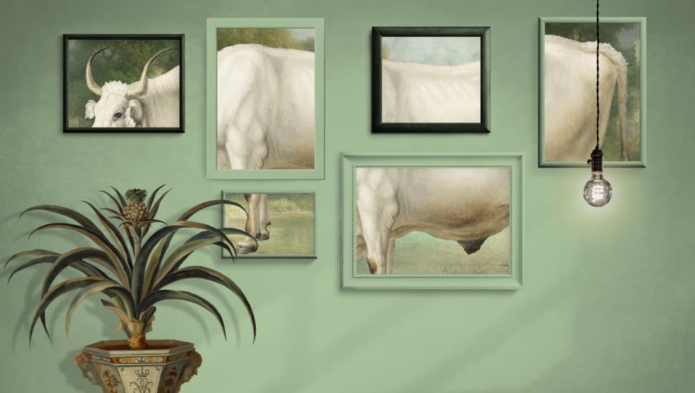 Study of Cow by Marja van den Hurk — canvas wall art