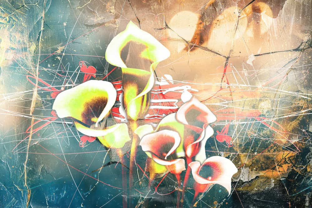 Moody Abstract Calla Lilies by Rafal Kulik — canvas wall art