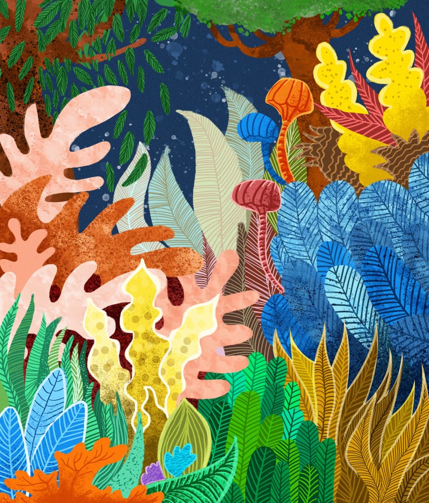 Vibrant Jungle Flora by Uma Gokhale — canvas wall art