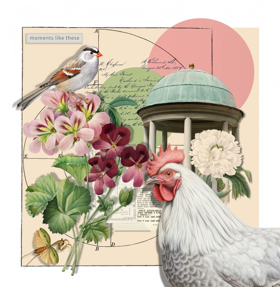 Garden Whimsy Collage by Marja van den Hurk — canvas wall art
