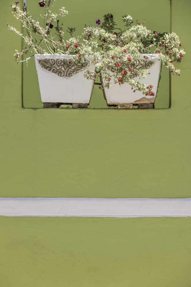 Wall Garden by Shot by Clint — canvas wall art