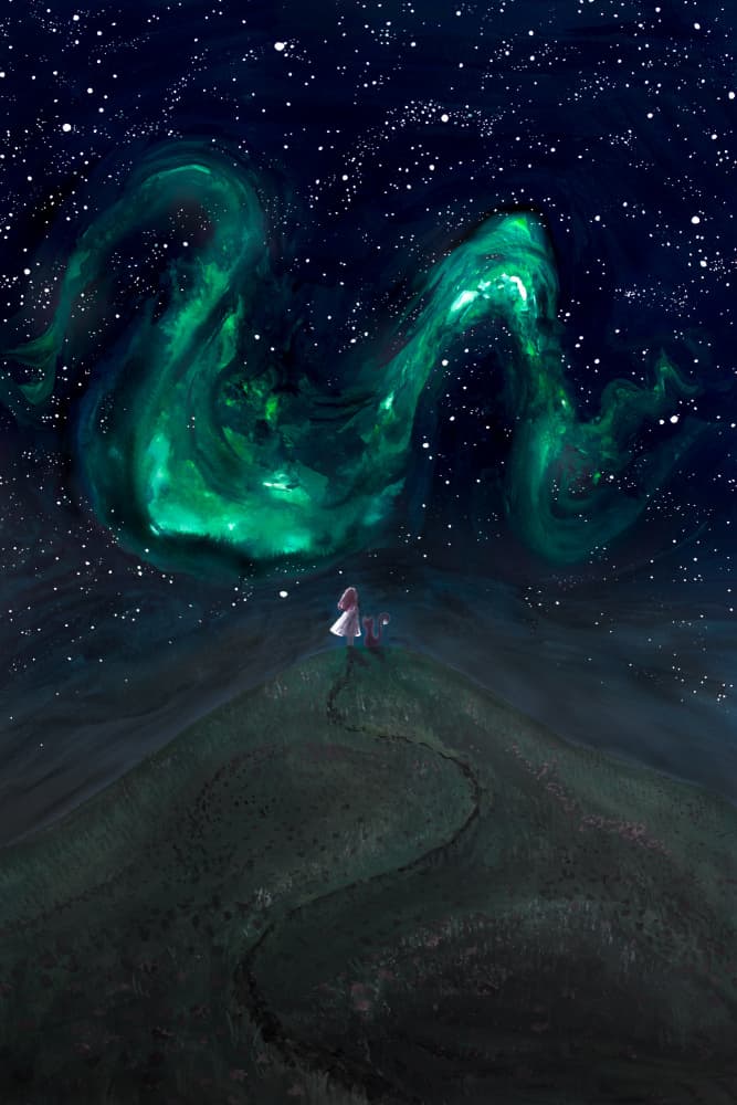 Under the Northern lights by EMELIEmaria — canvas wall art