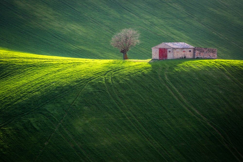 Green Hills Solitary Barn by Sergio Barboni — canvas wall art