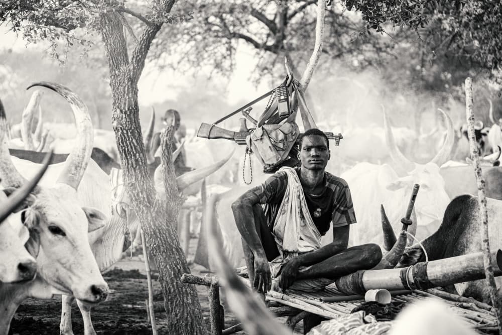 African Herdsman and Cattle by Svetlin Yosifov — canvas wall art