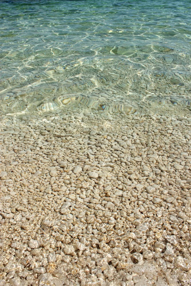 Glistening Pebble Beach by Alyson Fennell — canvas wall art