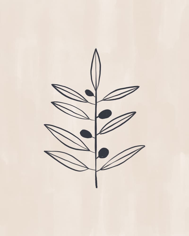 Minimal Olive Branch by Ivy Green Illustrations — canvas wall art