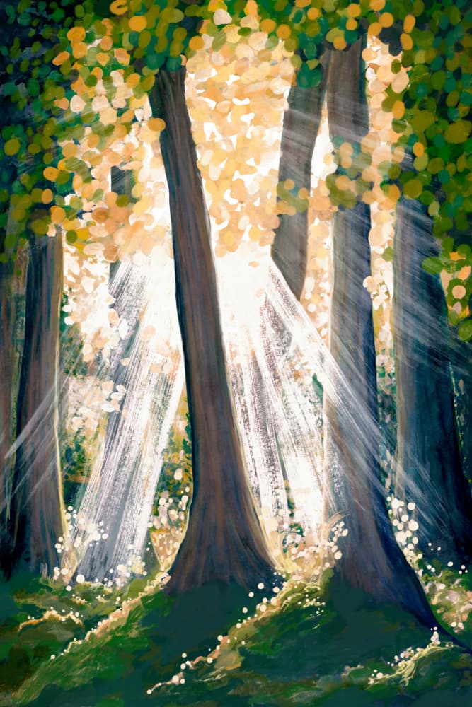Sunlight Through Trees by EMELIEmaria — canvas wall art