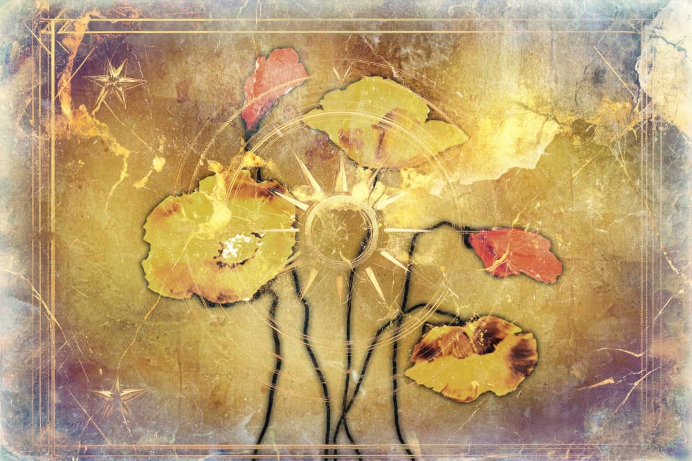 Golden Vintage Poppies by Rafal Kulik — canvas wall art