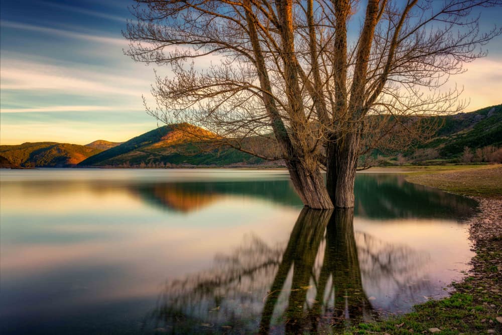Golden Hour Lake Reflections by Marco Antonio Cobo — canvas wall art