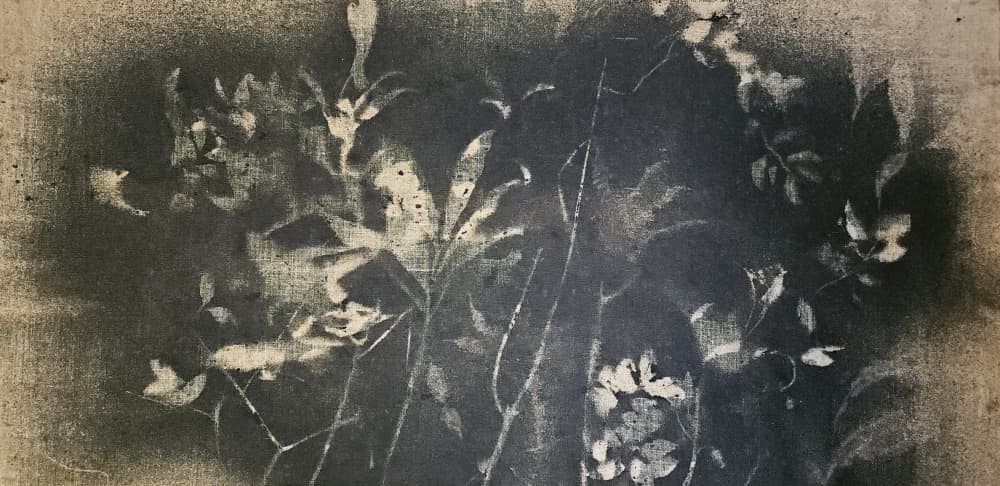 Dark Botanical Study by Stefano Mazzolini — canvas wall art