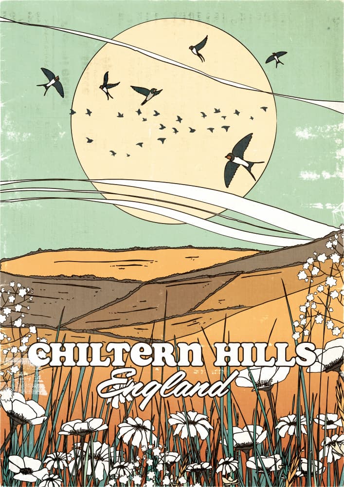 Vintage Chiltern Hills Swallows by Nicholas — canvas wall art
