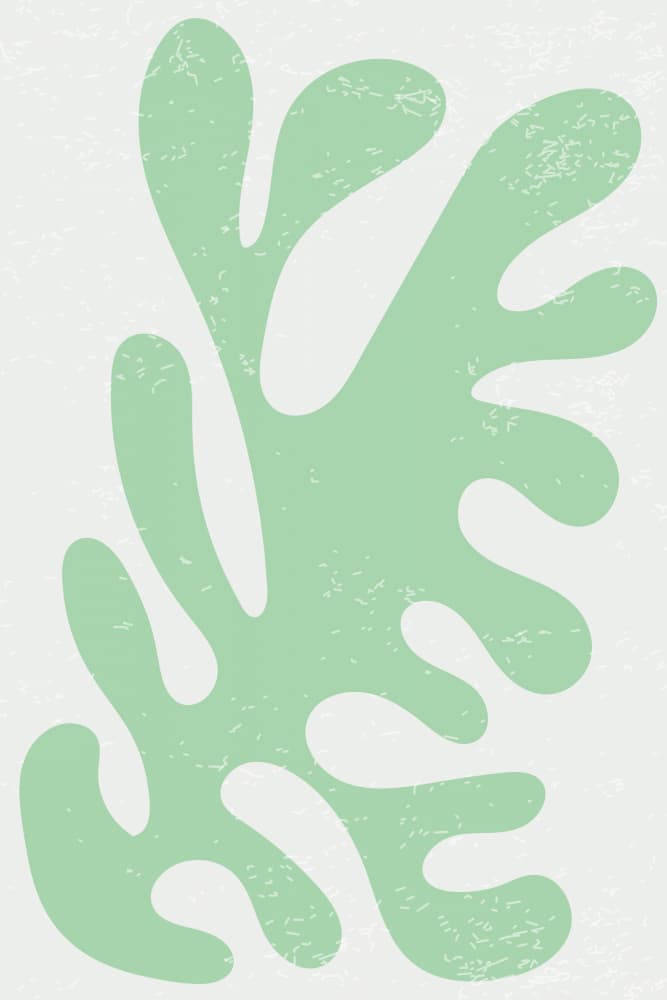 Organic Sage Form by jay stanley — canvas wall art