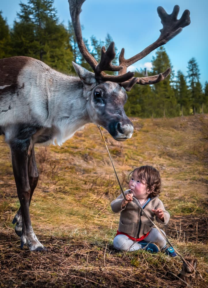 Child's Reindeer Encounter by Irene Wu — canvas wall art